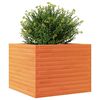 vidaXL Jardinera de madera maciza de pino marr&oacute;n cera 60x60x46 cm