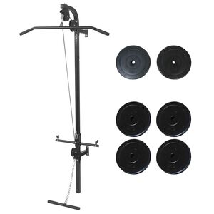vidaXL M&aacute;quina de musculaci&oacute;n de pared con discos de peso 40 kg
