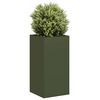 Olive_green