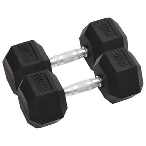vidaXL Mancuernas 2 unidades total hierro fundido 10 kg