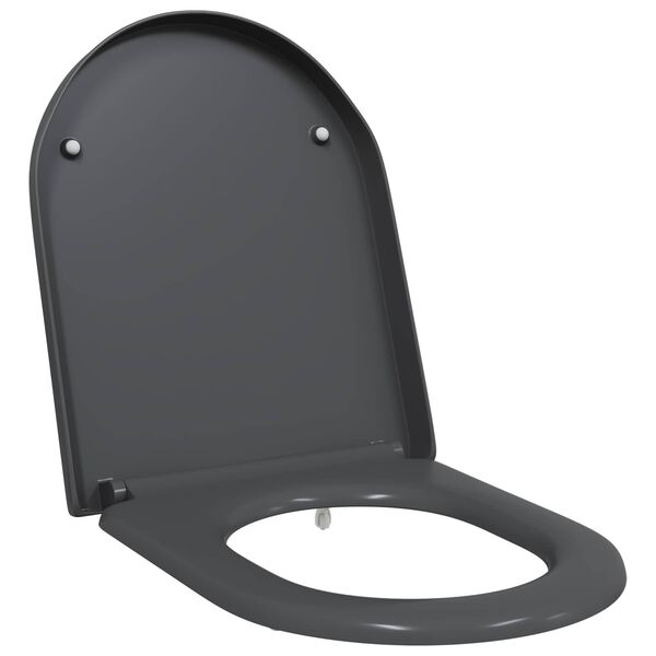 vidaXL Asiento de WC Antracita 46,2 x 36 x 4,3 cm Duroplast