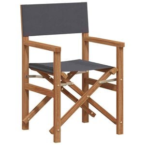 vidaXL Silla de director Gris Madera de teca maciza
