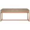 vidaXL Banco de terciopelo beige 110x36x45 cm