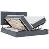 vidaXL Cama con tira de luces LED Gris oscuro 200 x 200 cm Terciopelo