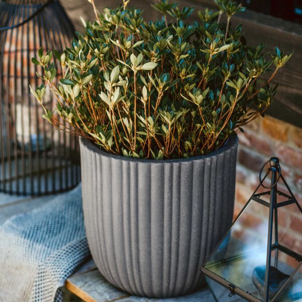 Capi Macetero Urban Tube gris oscuro 35x34 cm