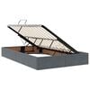 vidaXL Cama con almacenamiento y colch&oacute;n Gris oscuro 120 x 190 cm