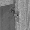 Imagen en miniatura del producto 11 de 14