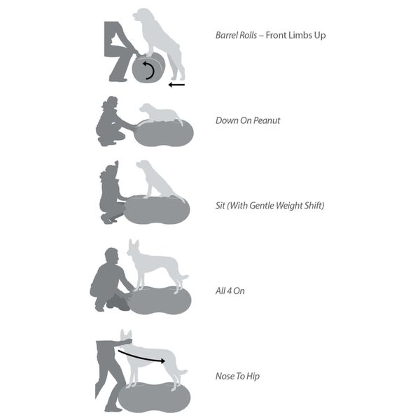 FitPAWS Plataforma de equilibrio para mascotas Trax Peanut rojo 50 cm