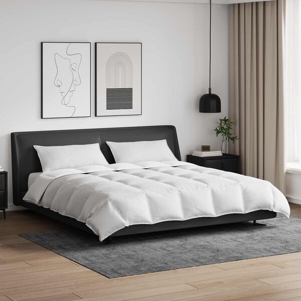 vidaXL Juego de Edred&oacute;n con almohada 3 pcs Pluma de pato