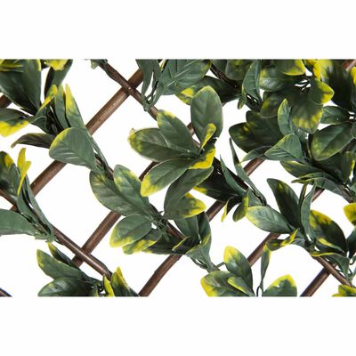 Nature Enrejado de jardín aligustre hojas verdes y amarillas 90x180 cm
