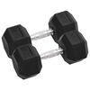 vidaXL Mancuernas 2 unidades total hierro fundido 12,5 kg