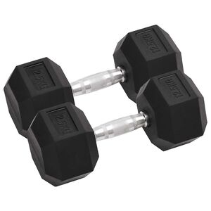 vidaXL Mancuernas 2 unidades total hierro fundido 12,5 kg