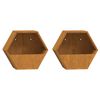vidaXL Jardineras de pared 2 uds acero corten oxidado 30x10x25 cm