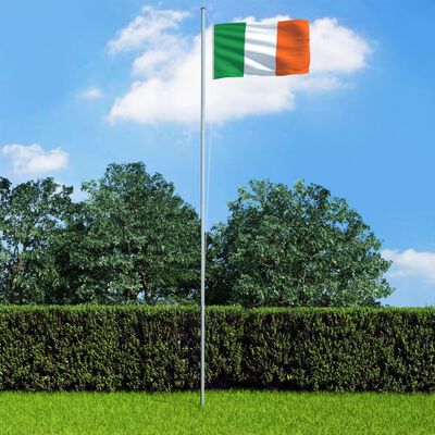 vidaXL Bandera de Irlanda y mástil de aluminio 6,2 m