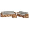 vidaXL Conjunto de sof&aacute;s de exterior 9 uds. Natural y Gris Claro