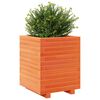 vidaXL Jardinera madera maciza de pino marr&oacute;n cera 40x40x49,5 cm