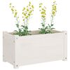 vidaXL Jardineras 2 uds madera maciza de pino blanco 60x31x31 cm
