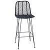 vidaXL Silla de Bar 2 pcs Negro 44,5 x 53 x 111 cm Ratan e Hierro