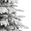 Imagen en miniatura del producto 5 de 9