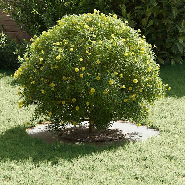 vidaXL adecuado para Anillos de &Aacute;rbol Plano 5 pcs &Oslash;30 / 60 cm Acero