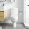 vidaXL Inodoro WC con cisterna blanco