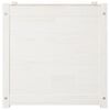 vidaXL Jardineras 2 uds madera maciza de pino blanco 60x60x40 cm