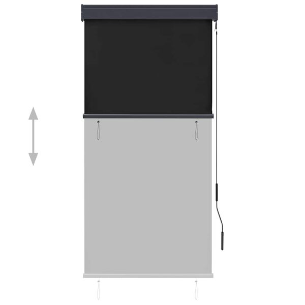 vidaXL Estor enrollable de exterior gris antracita 80x250 cm