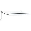vidaXL Toldo retr&aacute;ctil manual 2,5 x 2 m