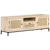 vidaXL Mueble para TV madera maciza mango y ca&ntilde;a natural 120x30x40 cm