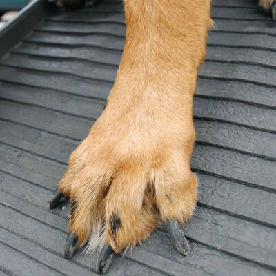 PetSafe Rampa para perros gris antracita 180x45x6 cm