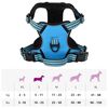 vidaXL Arnés para perros con correa y collar ajustable azul S