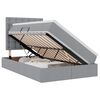 vidaXL Cama de almacenamiento LED con colch&oacute;n Gris Claro 120 x 190 cm
