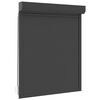 vidaXL Persiana enrollable Manual Antracita 120 x 150 cm