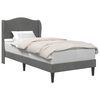 vidaXL Estructura de cama Gris oscuro 100 x 200 cm Terciopelo