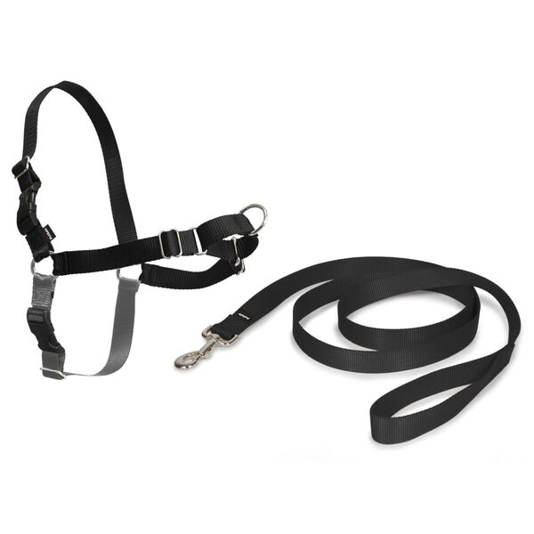PetSafe Arn&eacute;s para perros Easy Walk negro L