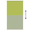 vidaXL Estor Enrollable Opaco hojas verde 125x210cm Tela Ancho 121,6cm