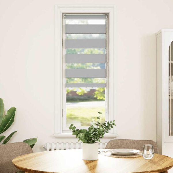 vidaXL Estor cebra gris claro 50x100cm tejido ancho 45,9 cm poli&eacute;ster