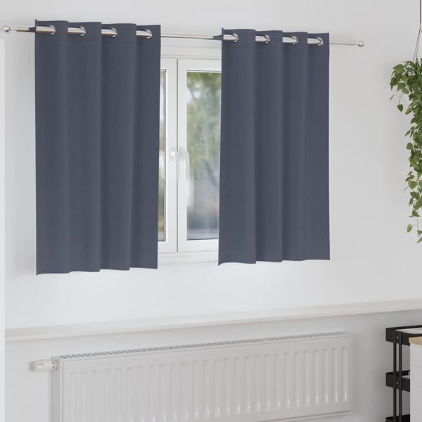 vidaXL Cortinas Opacas con Anillas 2 pcs Antracita 140 x 140 cm