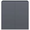 vidaXL Jardinera de acero laminado en fr&iacute;o antracita 80x40x80 cm