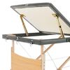 vidaXL Camilla de masaje 3 zonas estructura madera antracita 186x68 cm