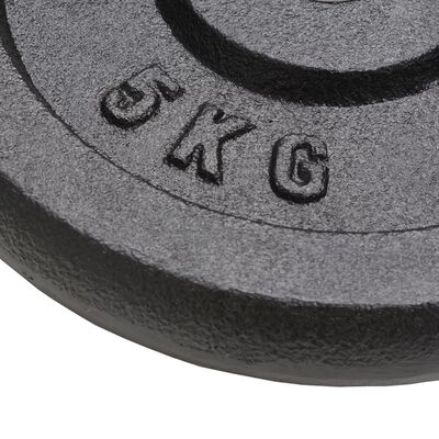 vidaXL Discos de pesas de hierro fundido 4 uds 2x10 kg+2x5 kg