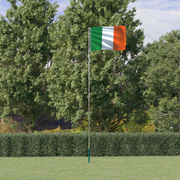 vidaXL M&aacute;stil y bandera de Irlanda aluminio 5,5 m
