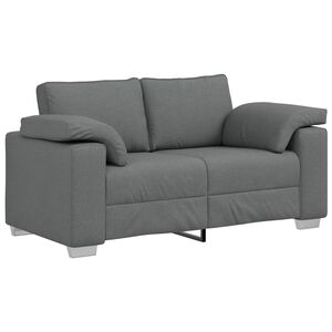 vidaXL Sof&aacute; de dos plazas Gris oscuro 160 cm tela