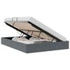 vidaXL Cama con almacenamiento Gris oscuro 153 x 203 cm Terciopelo
