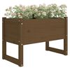 vidaXL Jardinera madera maciza de pino marrón miel 78x40x52 cm