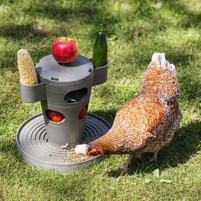 Beeztees Torre de alimentación para pollos gris 30x30x32,5 cm