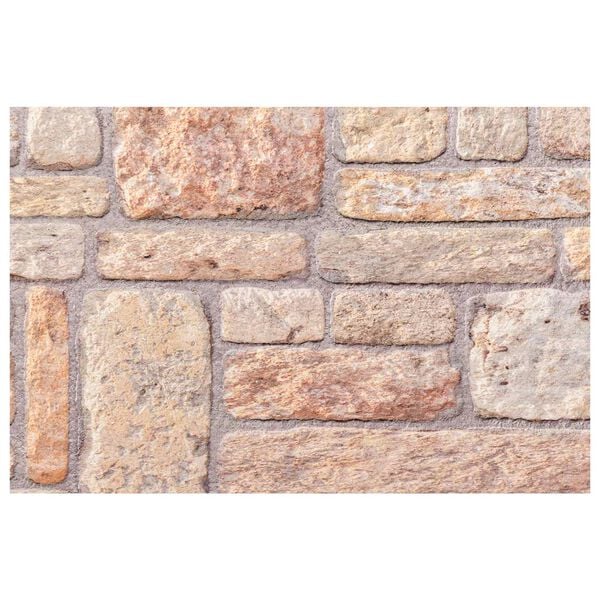 vidaXL Paneles de pared 10 pcs Marr&oacute;n claro y 100 x 50 cm Espuma EPS