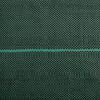 vidaXL Membrana de malezas PP verde 0,5x200 m