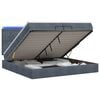 vidaXL Cama tipo otomana con colch&oacute;n y LED Gris oscuro 200 x 200 cm