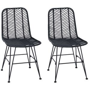vidaXL Silla de comedor 2 uds. Ratan e Hierro Negro